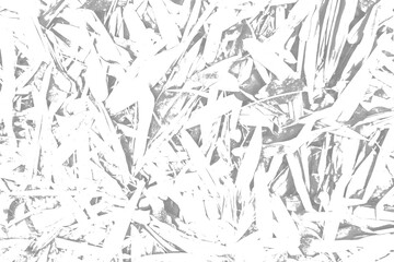 Black Grunge Bamboo Leaves Overlay on Transparent Background for Creative Textures and Visual Effects