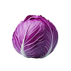 Obraz premium Fresh purple cabbage with intricate leaf patterns