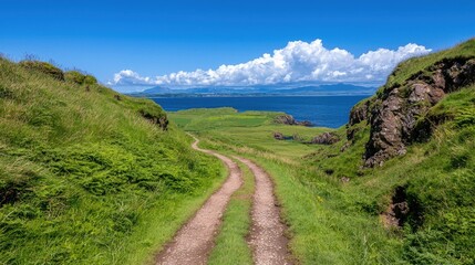 Fototapeta premium Coastal path winding through green hills, blue ocean backdrop