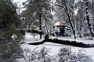 BATUMI, GEORGIA - February 19: a city in the snow