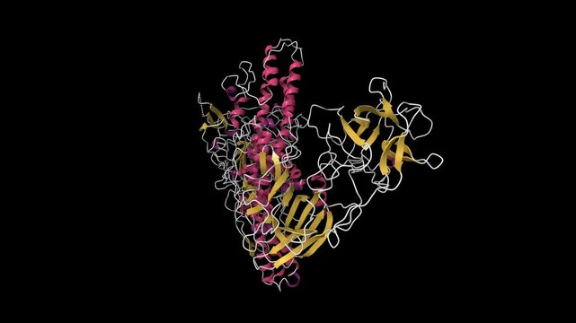 Structure of botulinum neurotoxin serotype A. Animated 3D cartoon model isolated, secondary structure color scheme, PDB 3bta, black background