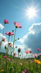 Obraz premium delicate wildflower stems stretching towards the sun amidst a cloud-filled sky with a bright blue hue, stretching, wildflowers, summer