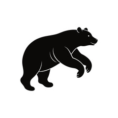 bear vector illustration