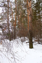 Winter countryside landscape on a frosty day.	