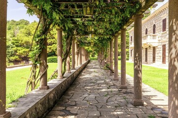 beautiful green gallery of a outdoor park with nice columns and botanic plant decorations of climbing grape vine with stone pavement and leading lines