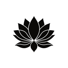 lotus vector illustration