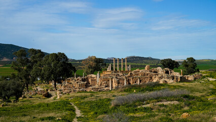  l'area,archeologica di Thuburbo Majus con i resti dell'antica città Romana,Pont du Fahs,Tunisia