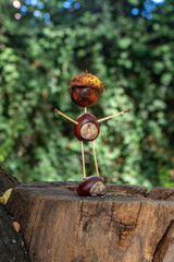 Handmade homemade craft diy chestnut figure still life, single person