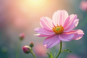 Obraz premium Soft pastel hues illuminate a delicate floral arrangement, with gentle light diffused through the petals, pastel colors, botanicals, soft focus