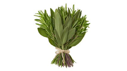 Fototapeta premium Fresh herbs for culinary use