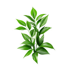 Fototapeta premium Lush green plant with vibrant leaves