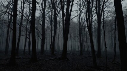 Fototapeta premium Dark horror forest background with a foggy