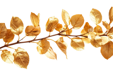 Golden leaves arranged elegantly on a branch