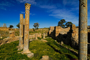 l'area,archeologica di Thuburbo Majus con i resti dell'antica città Romana,Pont du Fahs,Tunisia