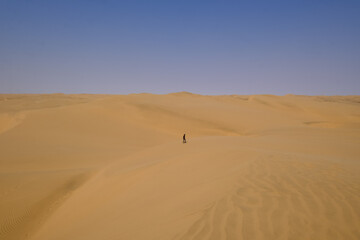 A lone traveler walks across the endless golden dunes of Sandwich Harbour, lost in the immensity of the Namib Desert. The vast, silent expanse showcases nature’s raw and breathtaking power.