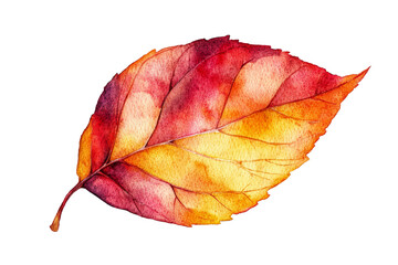 Autumn leaf showcasing vibrant watercolor hues