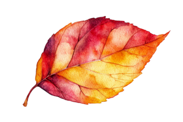 Autumn leaf showcasing vibrant watercolor hues