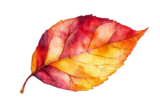 Autumn leaf showcasing vibrant watercolor hues