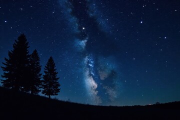 Obraz premium Serene Night Sky with Silhouetted Evergreens and the Milky Way's Celestial Display