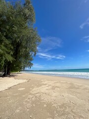 tropical beach with palm trees