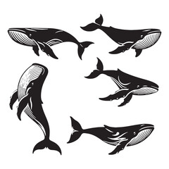 Majestic Blue Whale silhouette, celebrating the largest ocean creature - Blue Whale illustration - Minimalist Blue Whale vector - Fish silhouette
