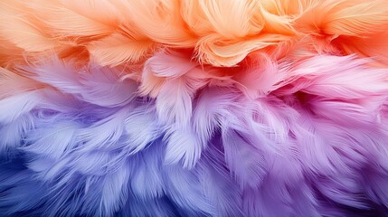   A close-up of a multicolored background with many feathers on the bottom of the image