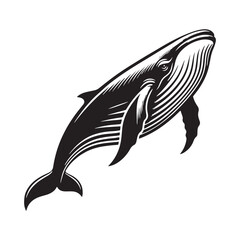 Elegant Blue Whale silhouette, embodying the beauty of ocean creatures - Blue Whale illustration - Minimalist Blue Whale vector - Fish silhouette
