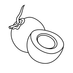 coconut coloring page