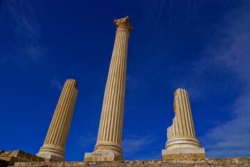 L'area archeologica di Uthina con l'imponente anfiteatro e i resti dell'antica città Romana,...