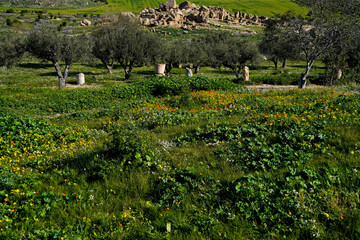 L'area archeologica di Uthina con l'imponente anfiteatro e i resti dell'antica città Romana,...