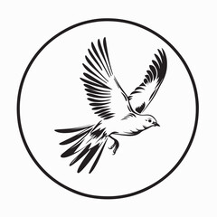 Dove On Circle Image Vector isolated on white background.