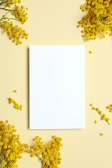 Beautiful composition with spring mimosa branches and paper card on a colored background