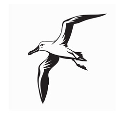 Wandering Albatross Image vector isolated on White background.