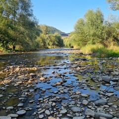 Obraz premium Sunlit river with rocky bed, flowing through a green valley with trees. Peaceful natural scene. Ideal for nature, landscape, or water themes. Romania