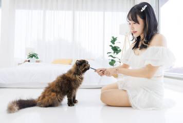Asian happy young female sitting on white floor owner smiling holding feeding jelly treat fluffy tortoiseshell cute little kitten breed pussycat pet friend in bedroom at home concept love animal care