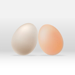 Two Easter eggs on a white background. Vector background for Easter.