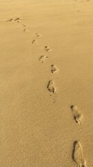 footprints on the beach