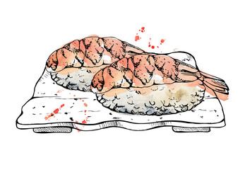 Japanese food nigiri sushi set served on ceramic plate with raw fish salmon tuna shrimp seabass, hand drawn in watercolor and ink. Illustration for restaurant, cafe menu, kitchen print, recipe book