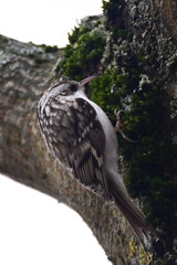 DSC_0424.JPG
