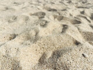 Natural sea sand texture, sea sand background