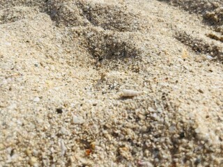 Natural sea sand texture, sea sand background