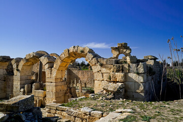 L'area archeologica di Mactaris,con i resti dell'antica città Romana,Makthar , Tunisia