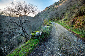 Camino del rio Lozoya