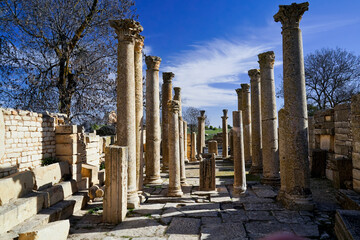 L'area archeologica di Mactaris,con i resti dell'antica città Romana,Makthar , Tunisia