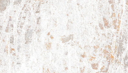 Grunge Overlay of Aged Rough Tree Bark Texture on Transparent Background