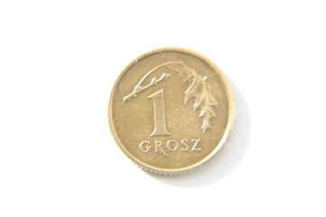one grosz (coin from Poland) isolated on white