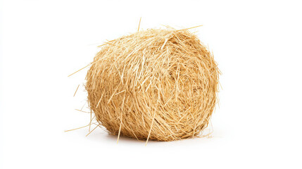 A round hay bale made of dried grass, showcasing a natural, rustic texture and color against a plain background.