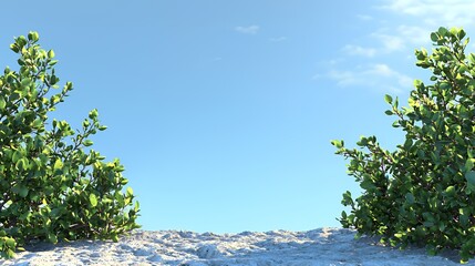Green Bushes on Sandy Ground Against a Blue Sky