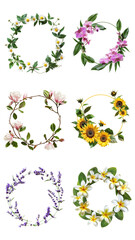 PNG colorful wealth flower design element set, transparent background