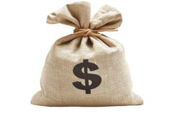 Currency bag symbolizes wealth concepts